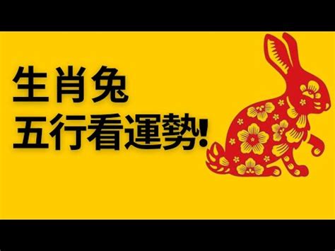 兔年五行|【兔屬五行】兔屬五行！不同年份生肖兔五行屬性大公。